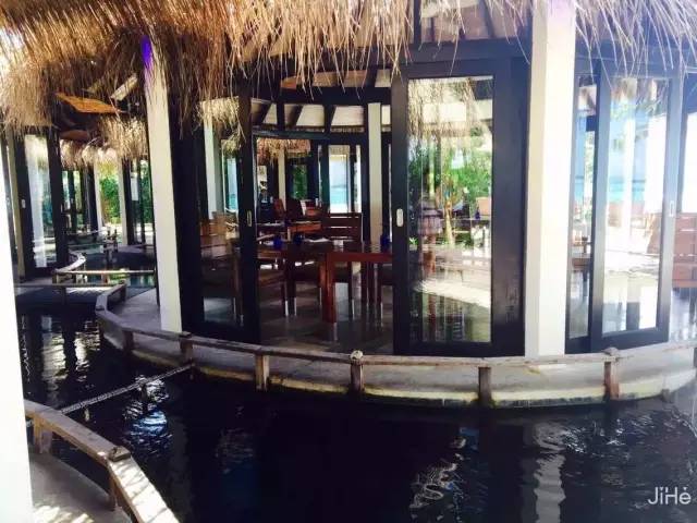 马尔代夫的蜜月岛值得去吗,去马尔代夫度蜜月感受