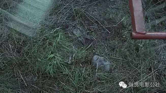 真实事件改编猎奇电影日本,一口气看完杀人案件