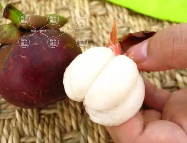 吃山竹的正确打开方法,吃山竹要注意的事项