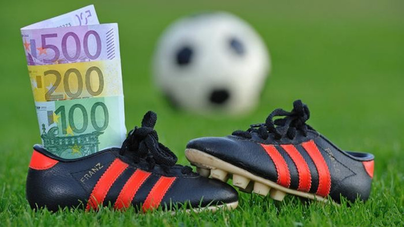 彩博违法吗,彩博公司