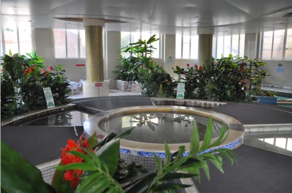 温泉县城投,梁河城投温泉