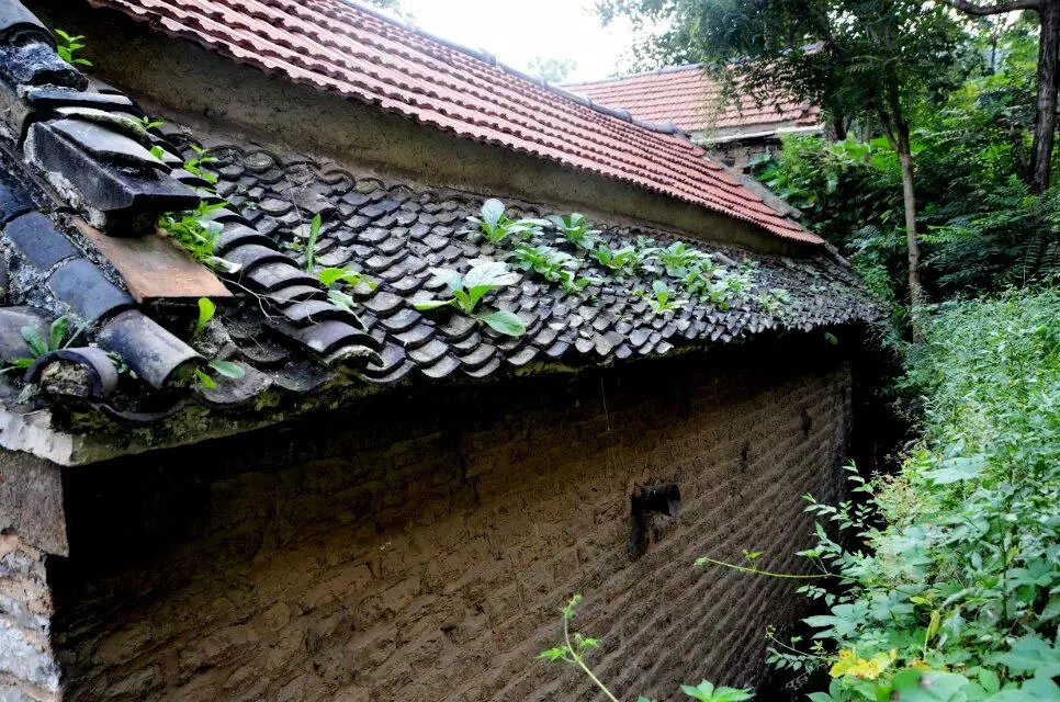 淄川区太河镇池板村近况,不可错过的绝美古村落石潭村