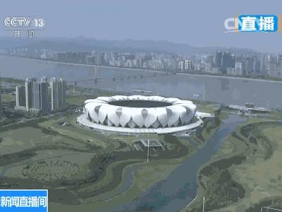 去不了杭州就来杯龙井,去不了杭州