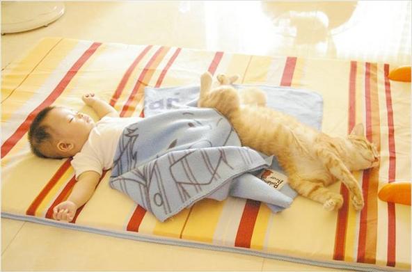 街边买来小宠物,竟致8岁女孩全身溃烂流脓!