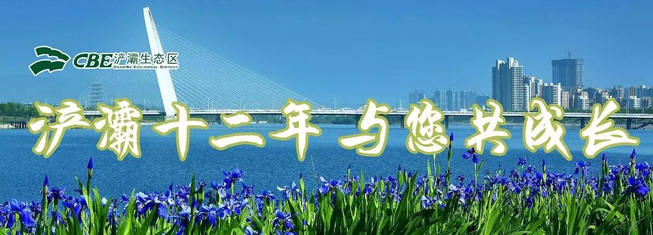 马拉松赛李宁视频,2015李宁10公里路跑联赛