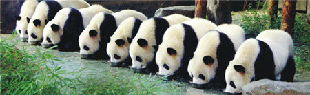 2022上海旅游节活动名单,上海旅游节到什么时候开始