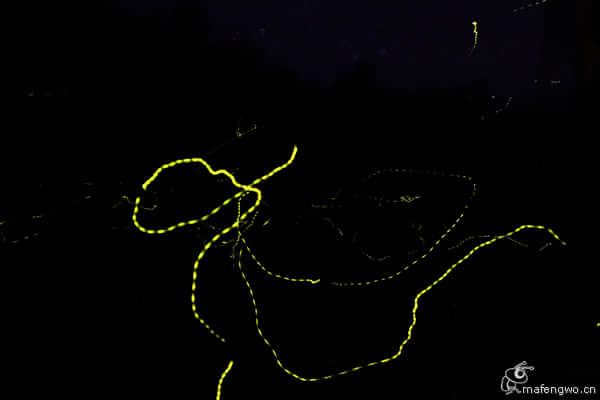 亚庇ow考试流程,亚庇ow多少钱