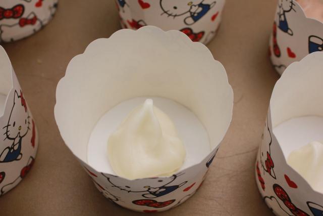 东菱老式烤箱12升怎么使用,东菱电烤箱610