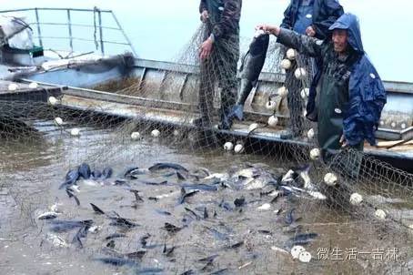 鍚夋灄甯傚幙鍖烘湁鍝簺,鍚夋灄甯傛湁鍝簺鍘垮尯