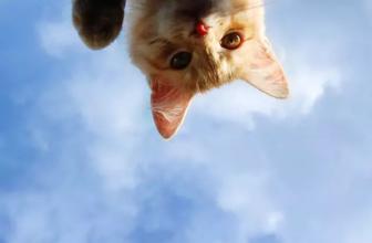 内容产品不在流量在精准！《好奇心日报》教你如何零运营传播