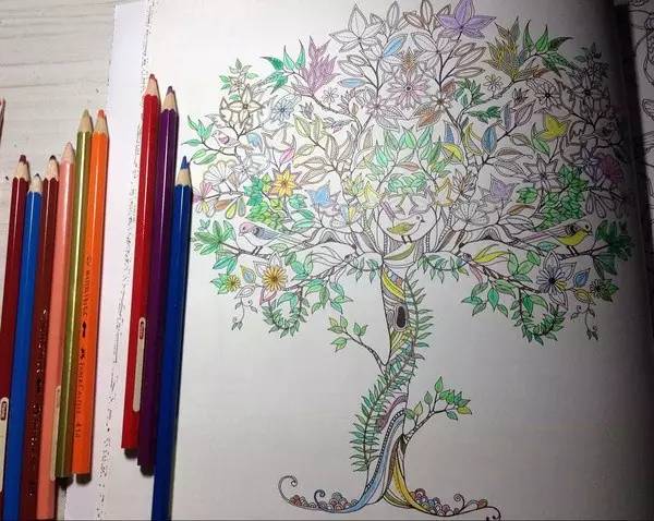 秘密花园涂色随便涂吗,秘密花园涂色适合孩子吗