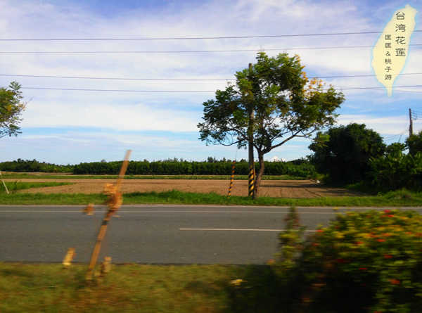 匡匡桃子的台湾10天之行