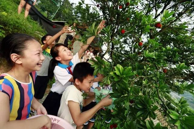 g20教育峰会,杭州峰会g20开幕式塔沟武校