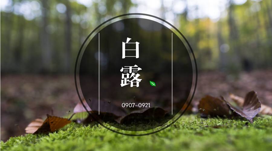 湿热饮食作息,白露节气的中医养生药方