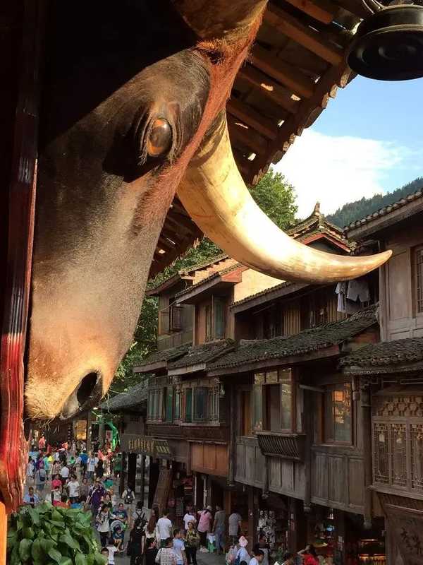 多彩贵州行西江千户苗寨,西江千户苗寨视频完整版