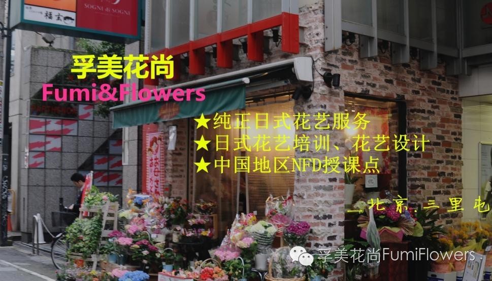 相约北平▏我们都是爱花的人