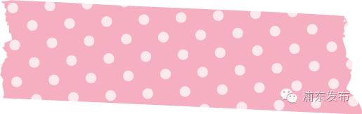 浦东的旅游攻略有哪些,浦东一日游免费景点有哪些