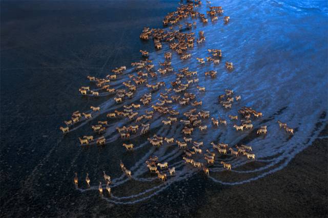 身价数十亿的他除了去无人区摄影，险些丧命，还用了6年时间和30多位石艺老匠人打造了一家不想挣钱的艺术馆