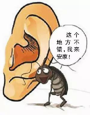 琚殣缈呰櫕鍜簡缃戝弸鍔濆憡灏卞尰,涓撳琛ㄦ槑琚殜瀛愬挰鏄洜涓烘櫤鍟嗛珮