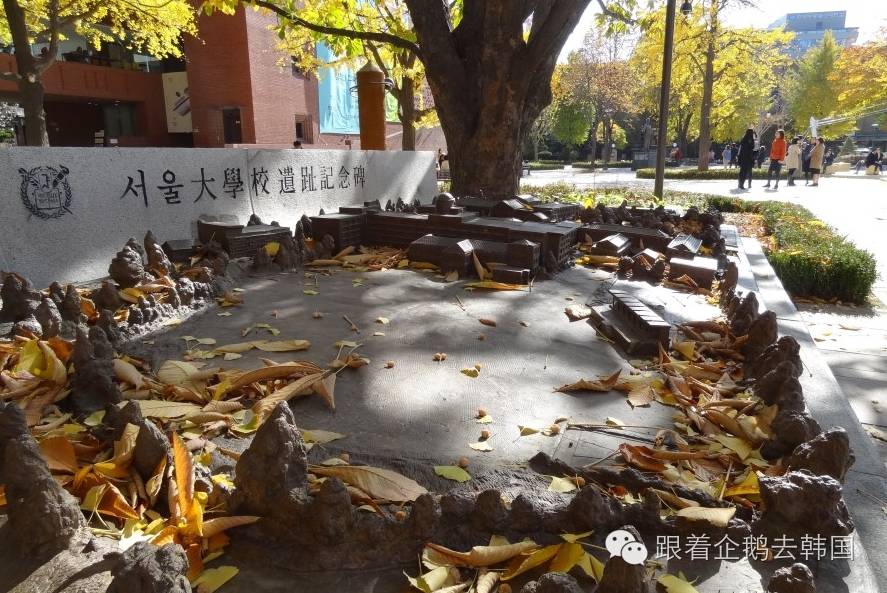 小清新韩国女装,小清新不一样