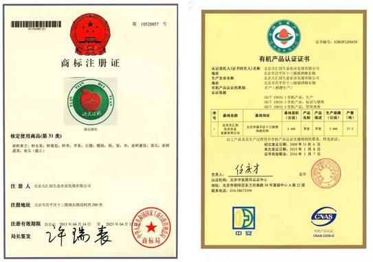 昌平区农业示范园采摘苹果,北京昌平苹果最佳采摘期