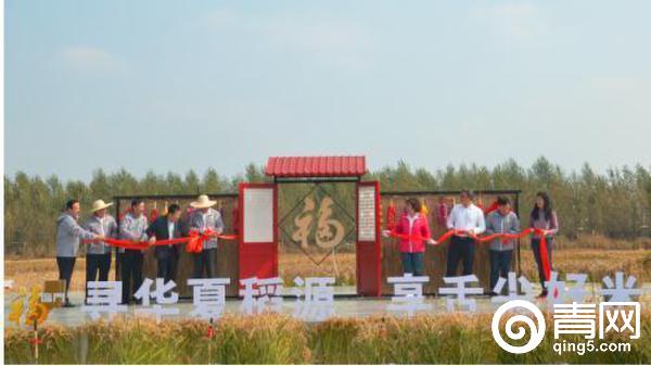 福临门优质产区五常大米,福临门优质大米中粮10公斤