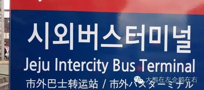 济州岛公交出行安排,济州岛怎么看公交车信息