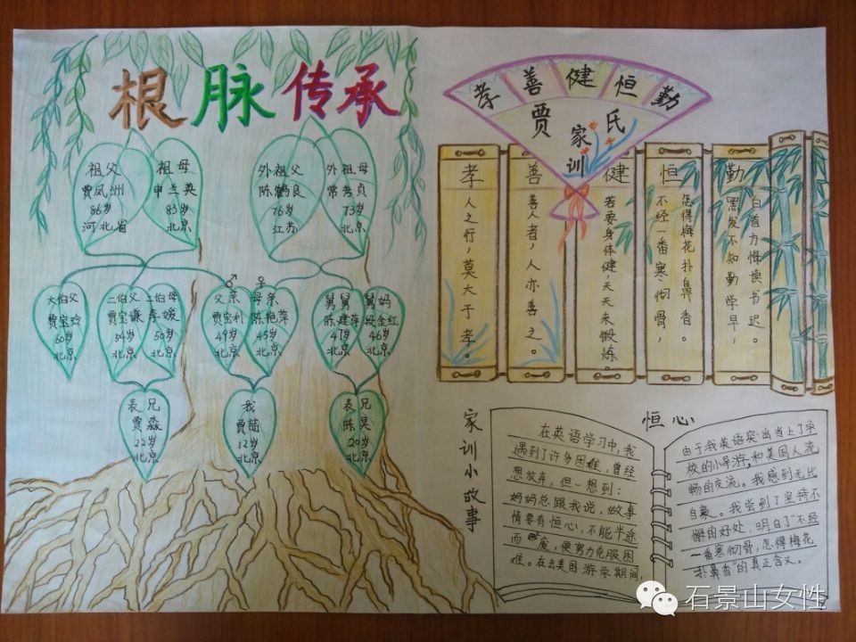 家谱图需要画出几代,家谱图如何绘制