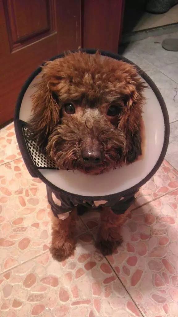 从出租屋搬到自己已经住过的家,从出租房搬到新家视频