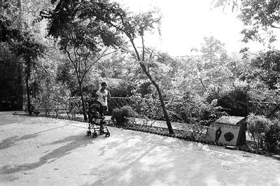 国庆美食一日游,国庆旅游各地美食推荐