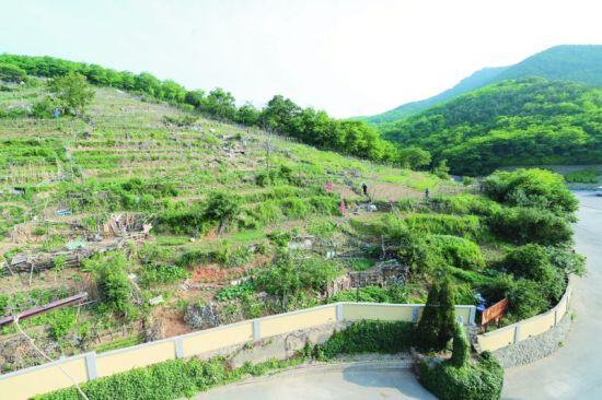 不知是梦还是现实，晚上总有个美女睡我一旁，却被人说是配了阴婚