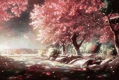 安徽秋天最适合旅游的地方,安徽适合暑假旅游的地方