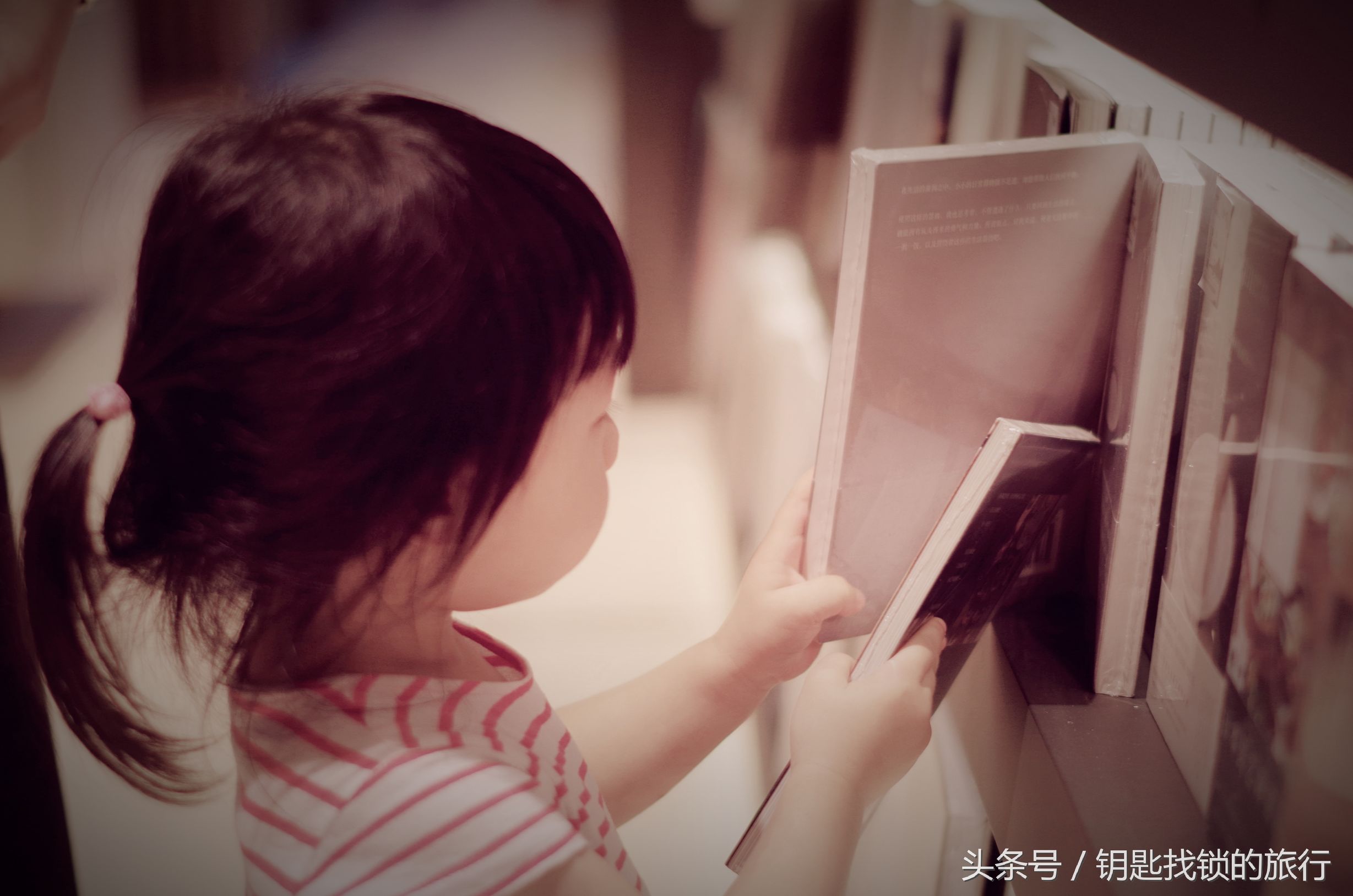 来苏州不去拙政园可以去哪里,去苏州不去景点可以到什么地方耍