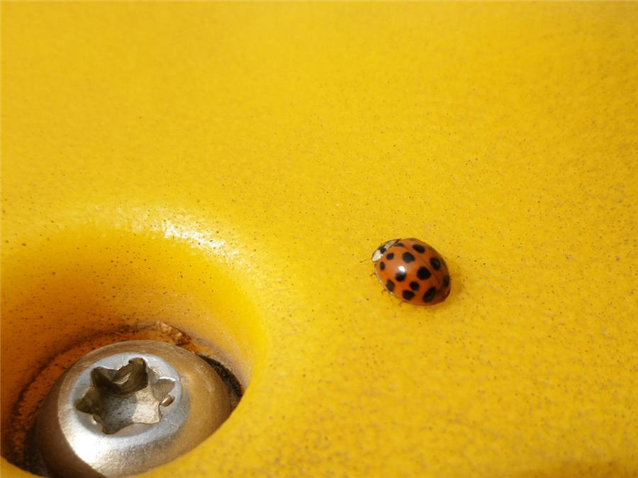 魅蓝明年旗舰,魅蓝系列排行