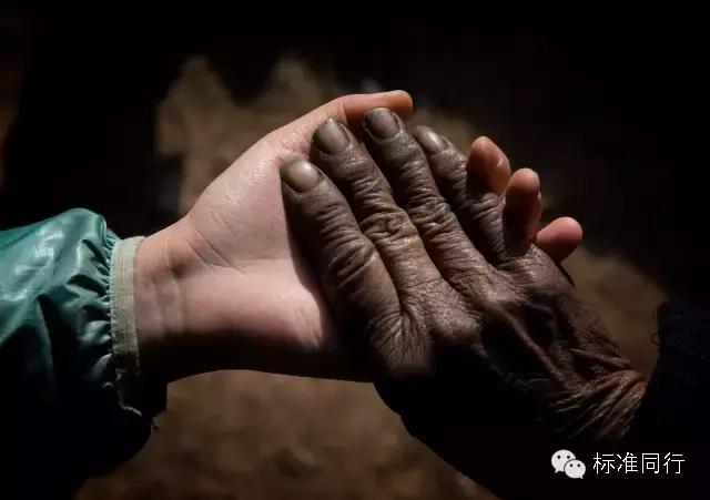 爱妈妈的十种表现,怎么样才是爱妈妈的表现