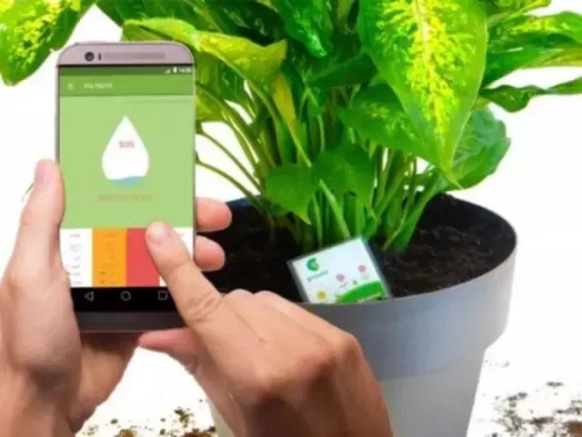 你盼着给祖国母亲过生日,我瞅着他们在自家种树