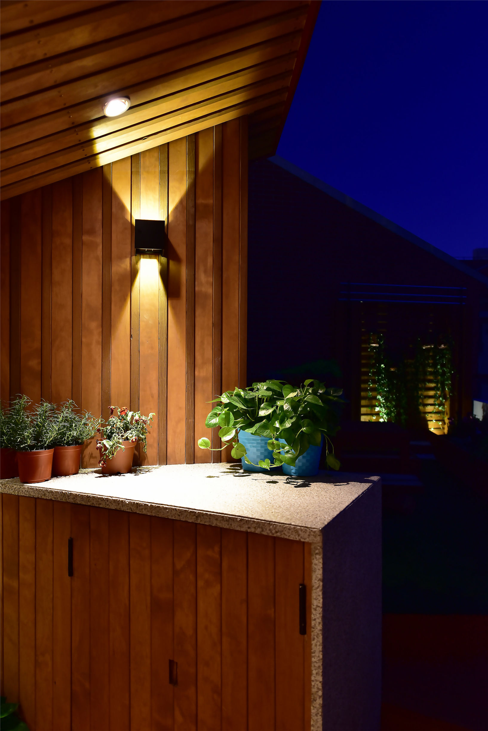 梦想改造家王平仲视频完整版,梦想改造家王平仲