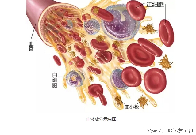 化疗出现骨髓抑制是好还是坏,化疗骨髓抑制是什么意思呀