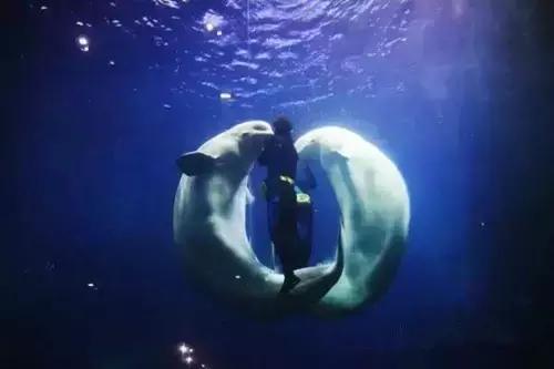 西安国庆大唐不夜城有什么节目,西安国庆有什么玩的