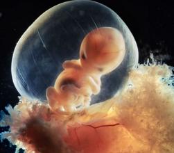 头盆不称,什么叫头盘不称