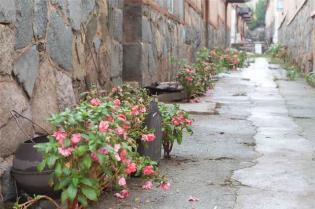 你从未到达的地方才叫远方,你未到达的地方早已车水马龙