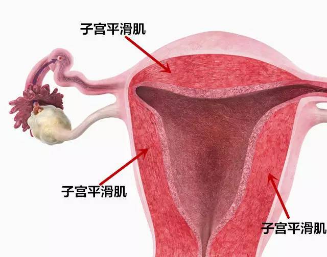 宫寒怎么最快改善,宫寒有什么好方法改善