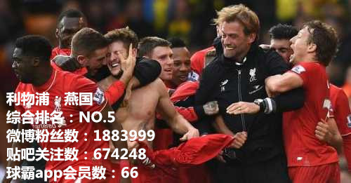 英超史上最强六大豪强,英超七雄埃弗顿