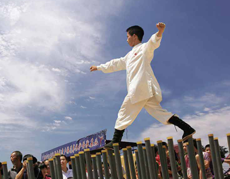 河南的拳种有哪些,河南三大拳