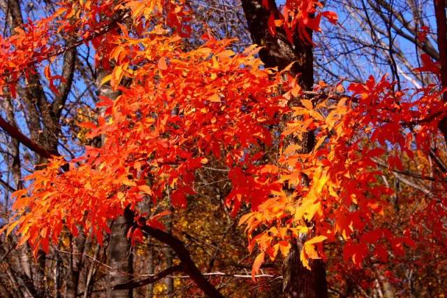 不需要知道你离世的理由，只愿你在天堂能重展笑容！
