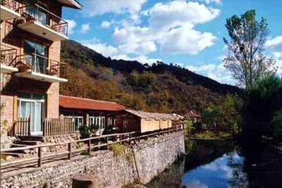 国庆狗狗出去浪,国庆带狗狗适合去哪玩