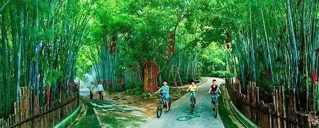 海南万宁国庆旅游攻略,万宁十大旅游必买品