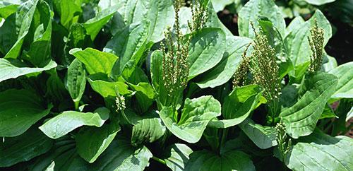 绌哄寰椾簡灏胯矾鎰熸煋,绌哄灏胯矾鎰熸煋