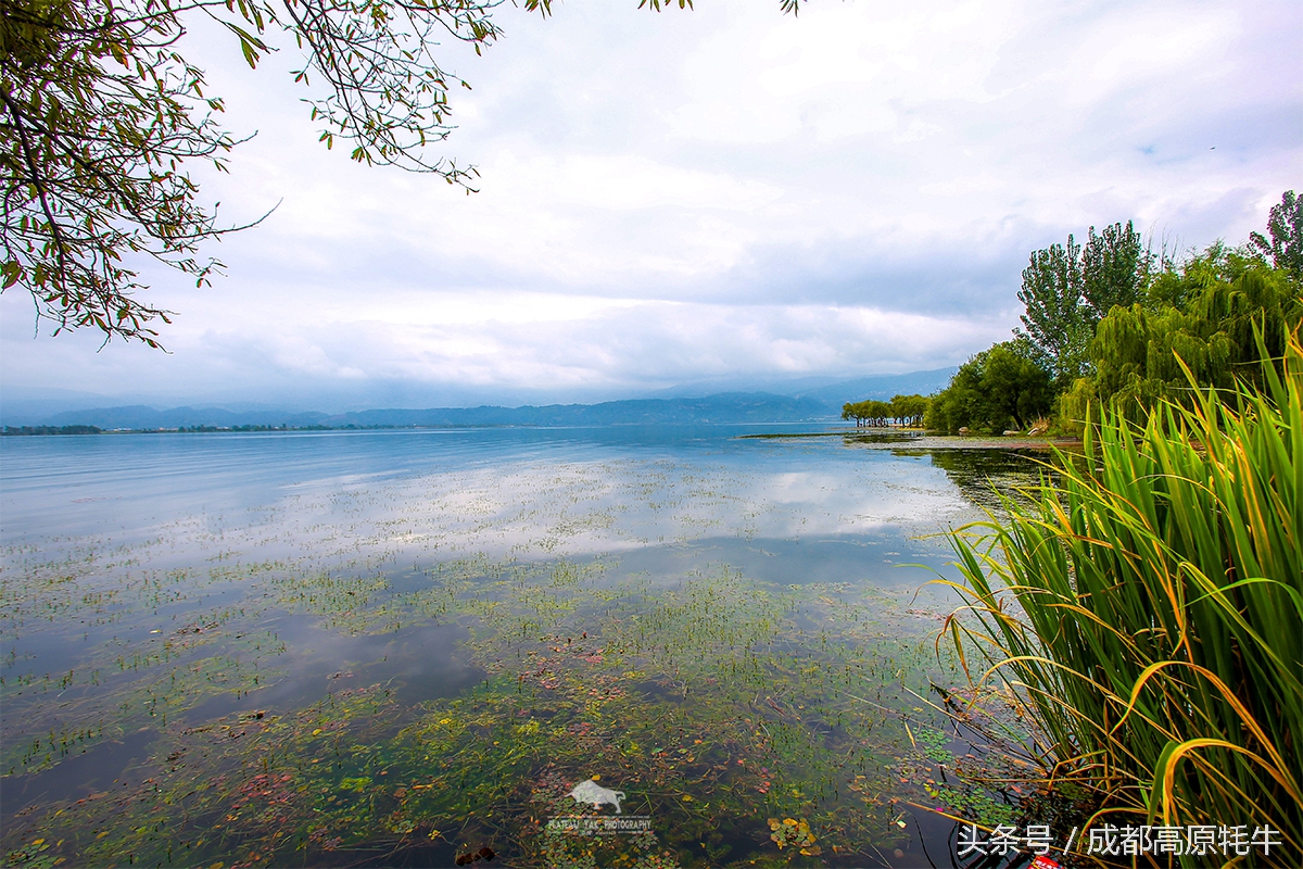 西昌众欣豪生温泉酒店,西昌市最美酒店