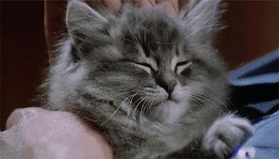 注意秋天！掉头发的高峰期来了，这可是“头”等大事。